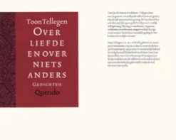 Over liefde en over niets anders