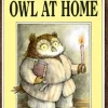 Owl at Home