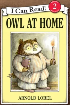 Owl at Home
