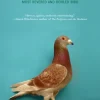 Pigeons