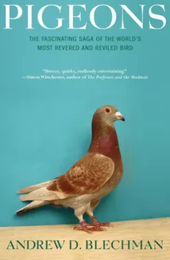 Pigeons