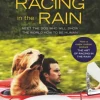 Racing in the Rain