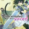 Reincarnated as a Sword (Light Novel) Vol. 2