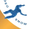 Rodeo Snow