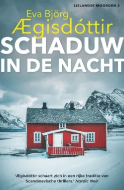 Schaduw in de nacht