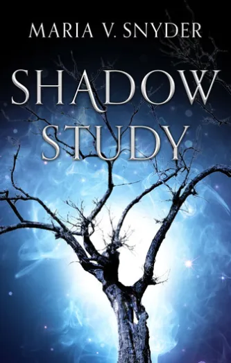 Shadow Study