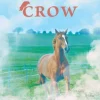 Shoalie's Crow