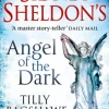 Sidney Sheldon’s Angel of the Dark