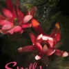 Spells