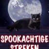 Spookachtige Streken