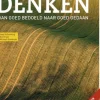 Systeemdenken