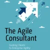 The Agile Consultant