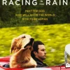 The Art of Racing in the Rain