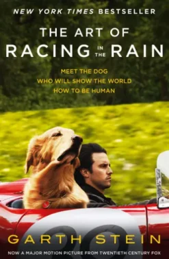 The Art of Racing in the Rain