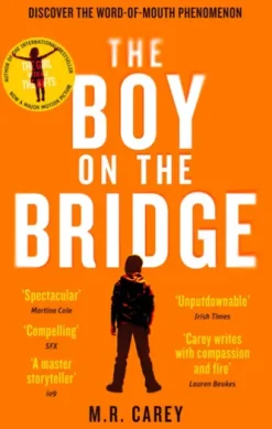 The Boy on the Bridge