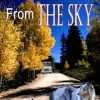 The Dog From the Sky