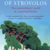 The Magus of Strovolos