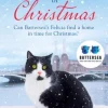 The Nine Lives of Christmas: Can Battersea's Felicia find a home in time for the holidays?