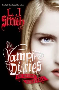 The Vampire Diaries: The Return: Nightfall