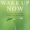 Wake Up Now