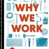 Why We Work